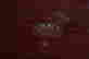 item-125771314=2