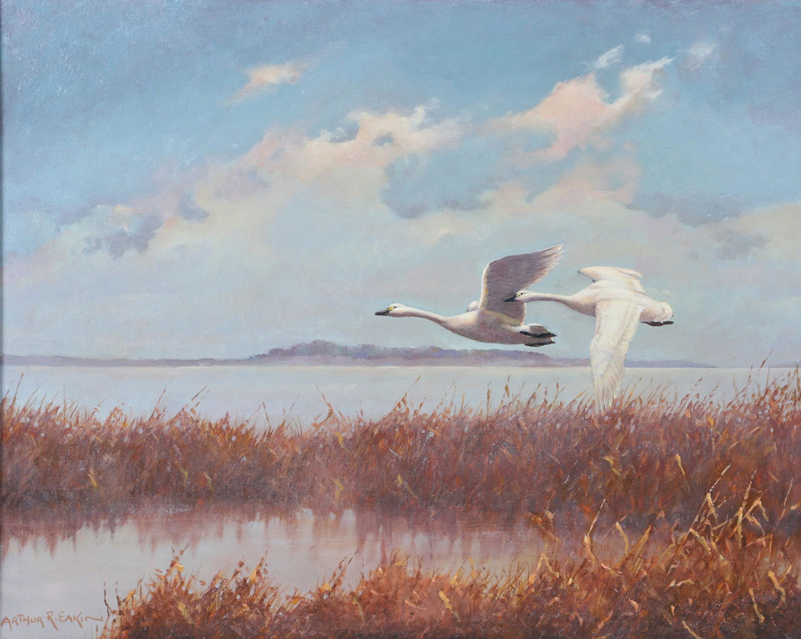 Arthur Eakin Painting "Swans in Flight" (1 of 4)