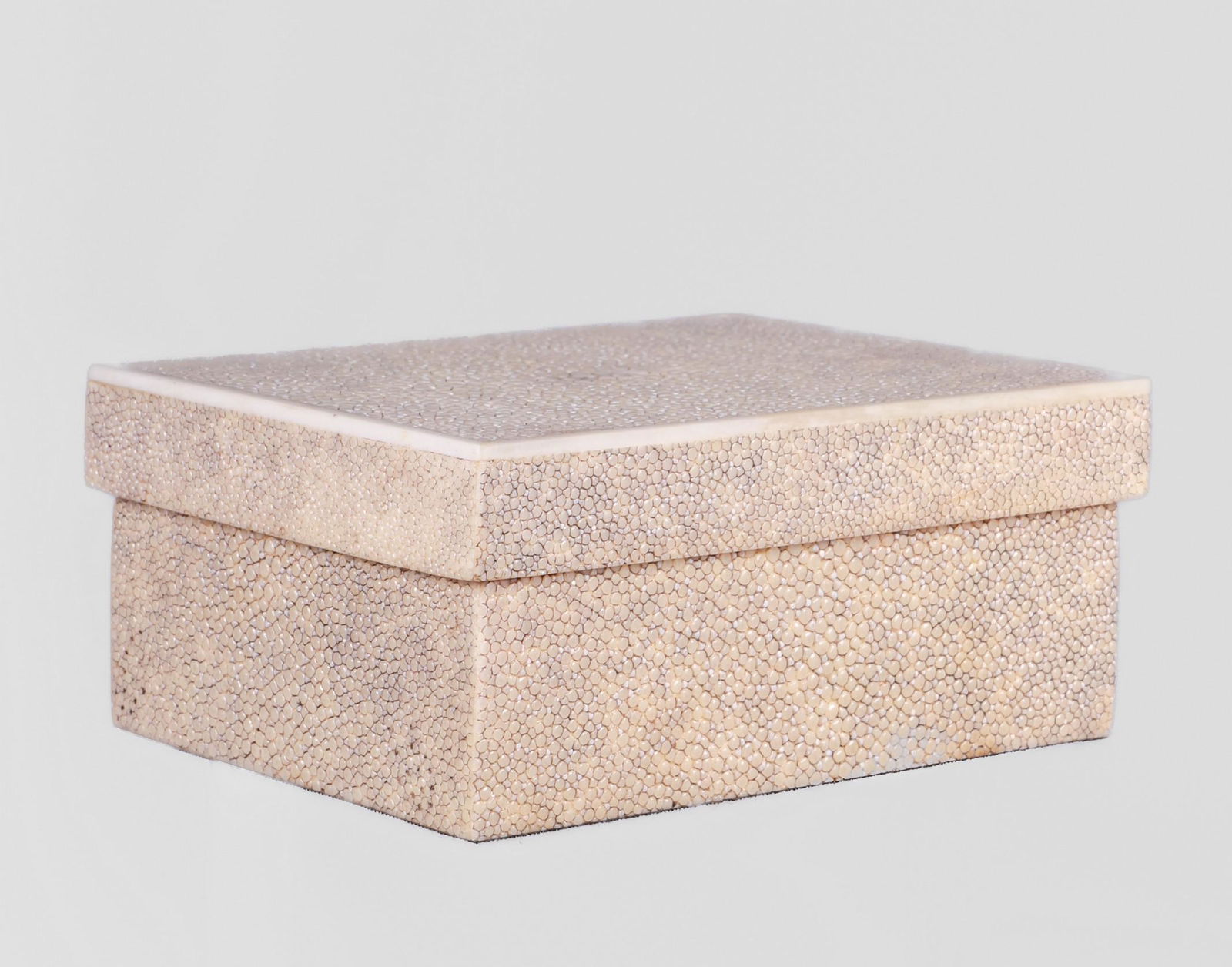 R & Y Augousti Paris Shagreen Box (1 of 6)