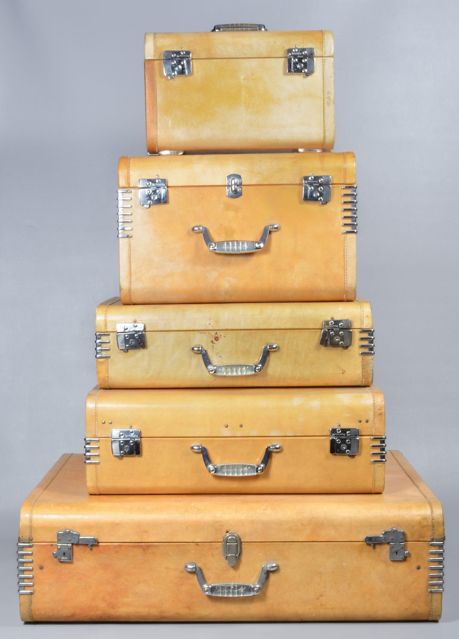 5-Piece Art Deco Lucite Handled Wheary Luggage (1 of 6)