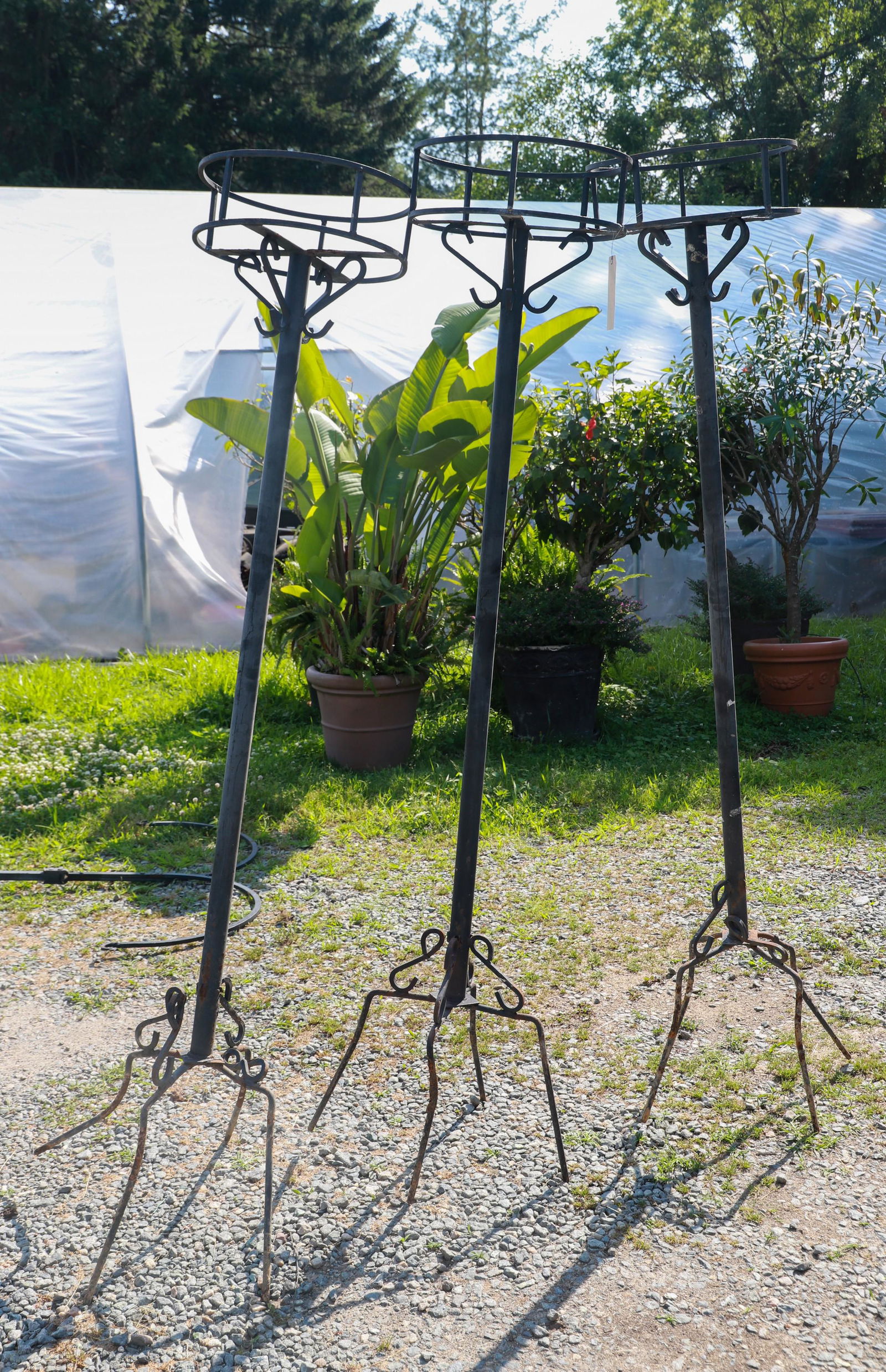 (3) ebonized metal plant stands (1 of 3)
