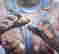 item-131350030=6