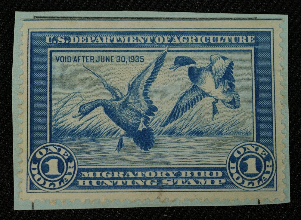 U.S. Scott RWI 1934 hunting permit stamp unused/un: U.S. Scott RWI 1934 hunting permit stamp unused/unsigned top SE affixed to clipped down cardboard hunting permit still nice color + centering