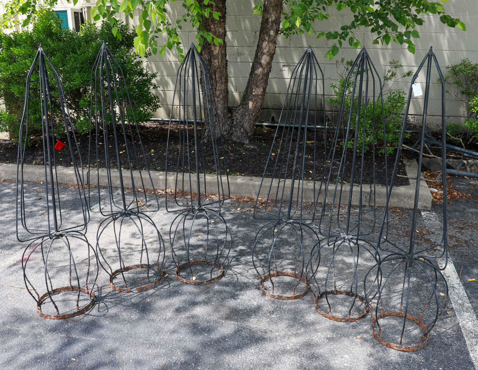 (6) Topiary molds: (6) Topiary molds, ebonized with things on top over bulb base, 53"h