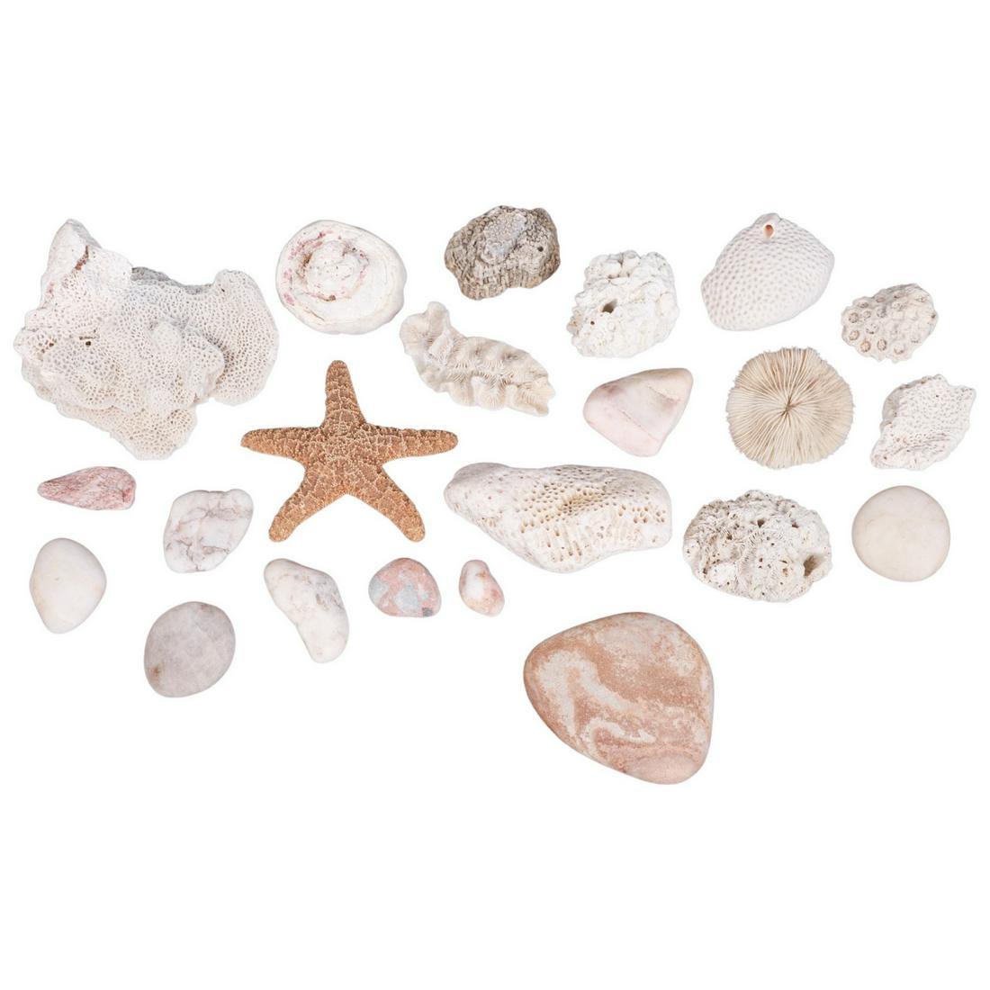 (22) Sea Items (1 of 5)