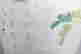 item-134396160=14