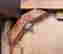 item-136500960=8