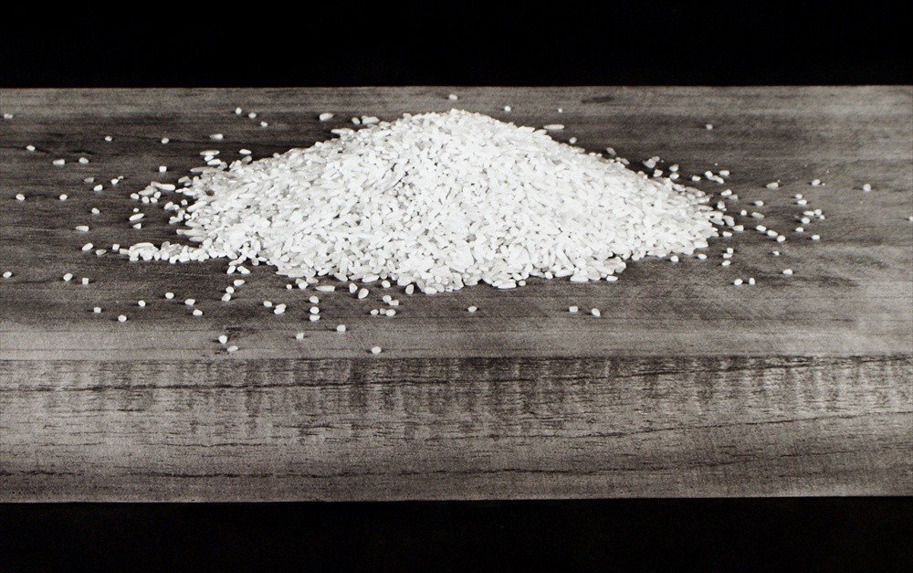 Liset Castillo, Cuban artist, 1974- , "Rice", Phot: Liset Castillo, Cuban artist, 1974- , "Rice", Photogravure, 2000, presentation proof 2/3, edition of 20, 47" x 36" paper size.
