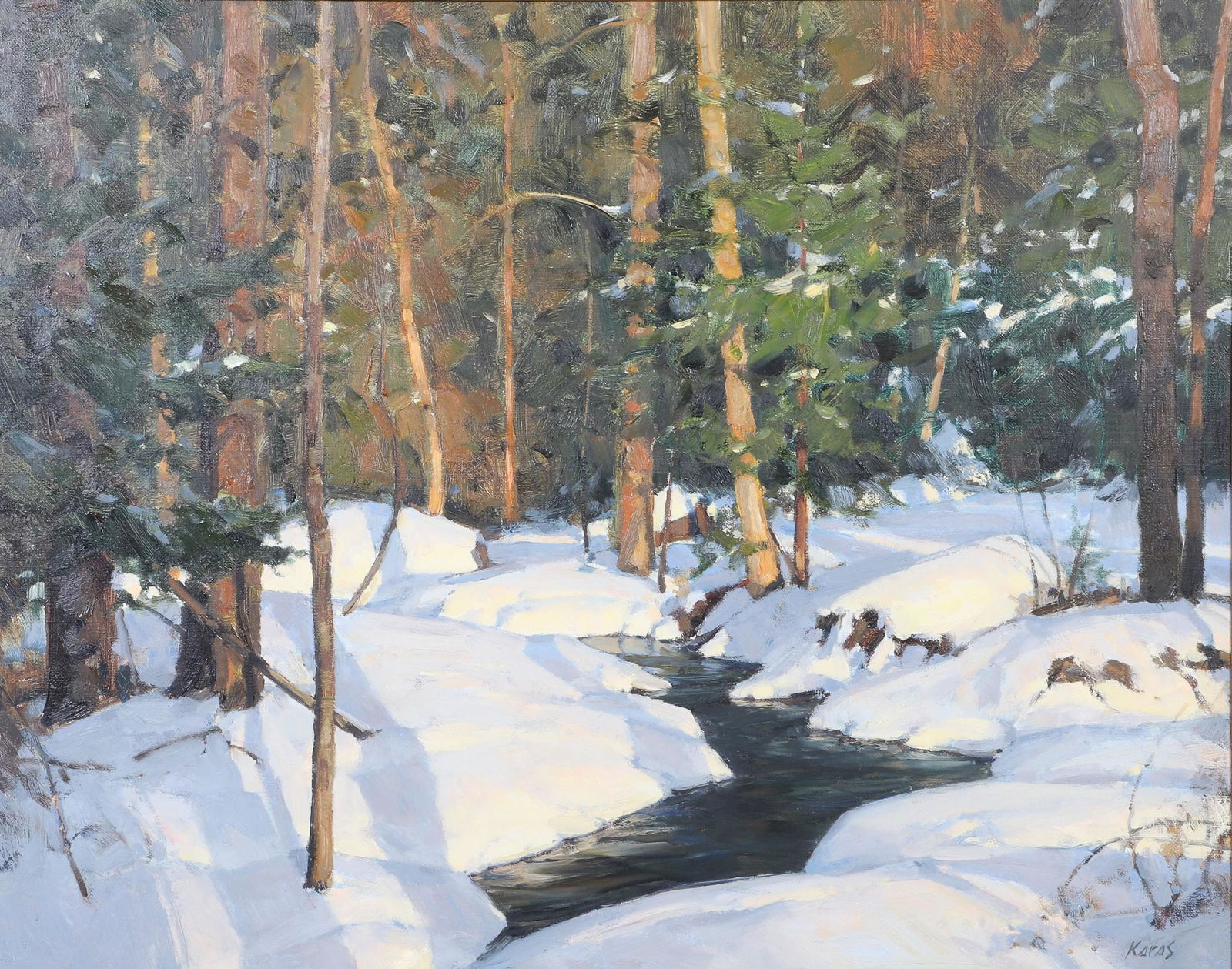 Michael B Karas "Winter, Maine Woods" (1 of 6)