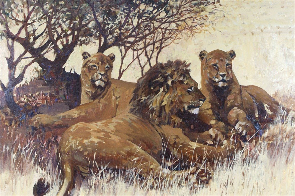 Keith Shackleton, English, b 1923, Lions, O/B, 1: Keith Shackleton, English, b 1923, Lions, O/B, 18" x 24", Signed LR, dated1973