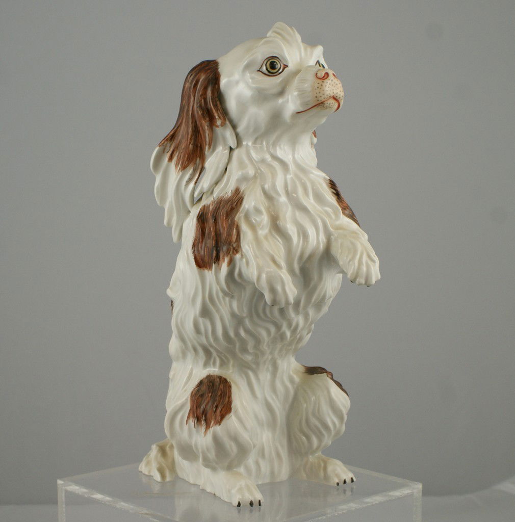 Dresden porcelain figure of a King Charles spani: Dresden porcelain figure of a King Charles spaniel begging, 10 1/4" tall