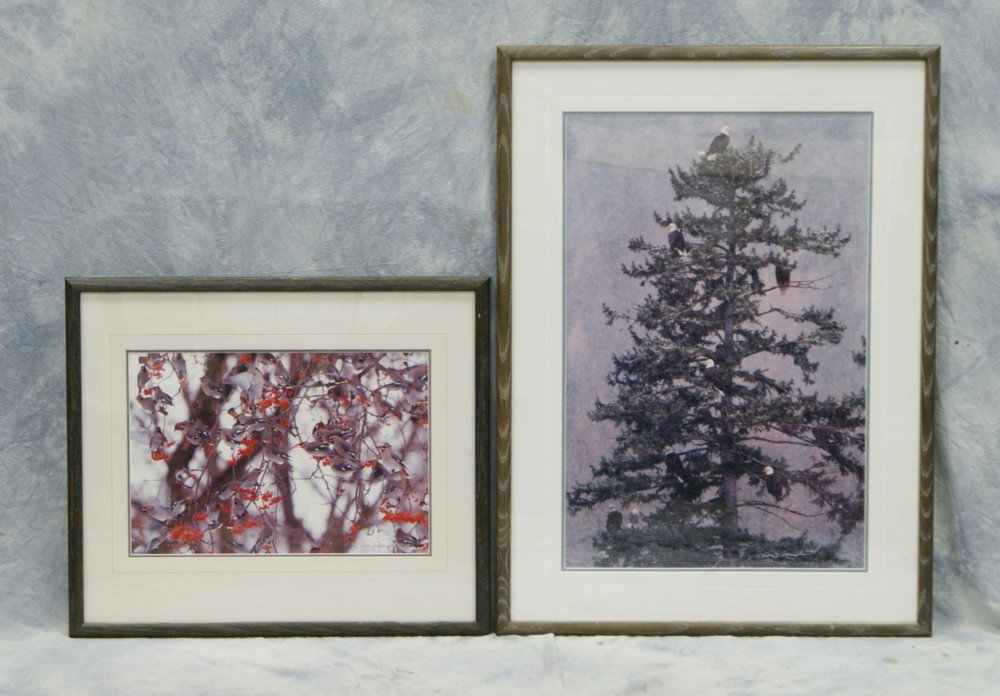 Thomas Mangelsen, American, 20th c, (2) photogra: Thomas Mangelsen, American, 20th c, (2) photographs, "November Snows", 273/950, 1985, 29" x 19", "Wintering Waxwings", 721/950, 1985, 13" x 19"