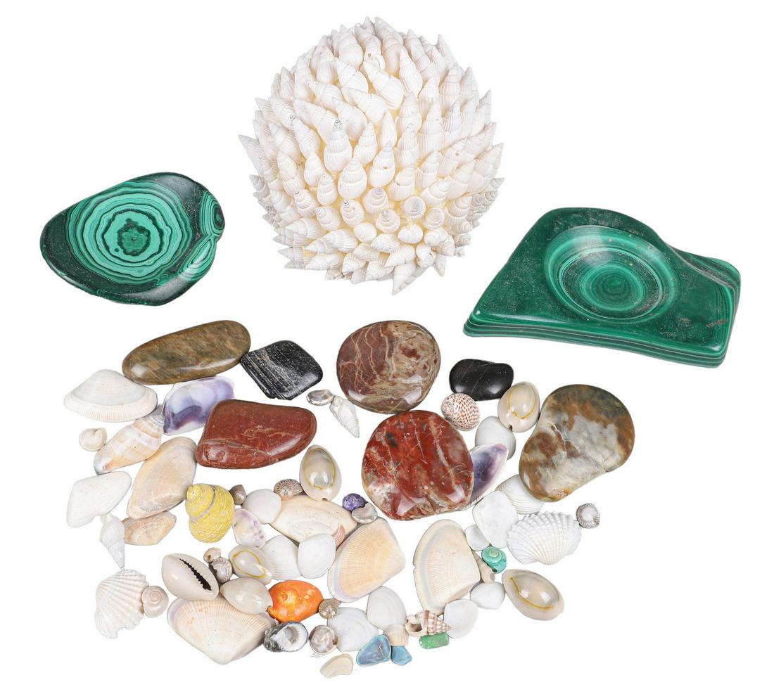 Lot of Stones & Shells (1 of 4)