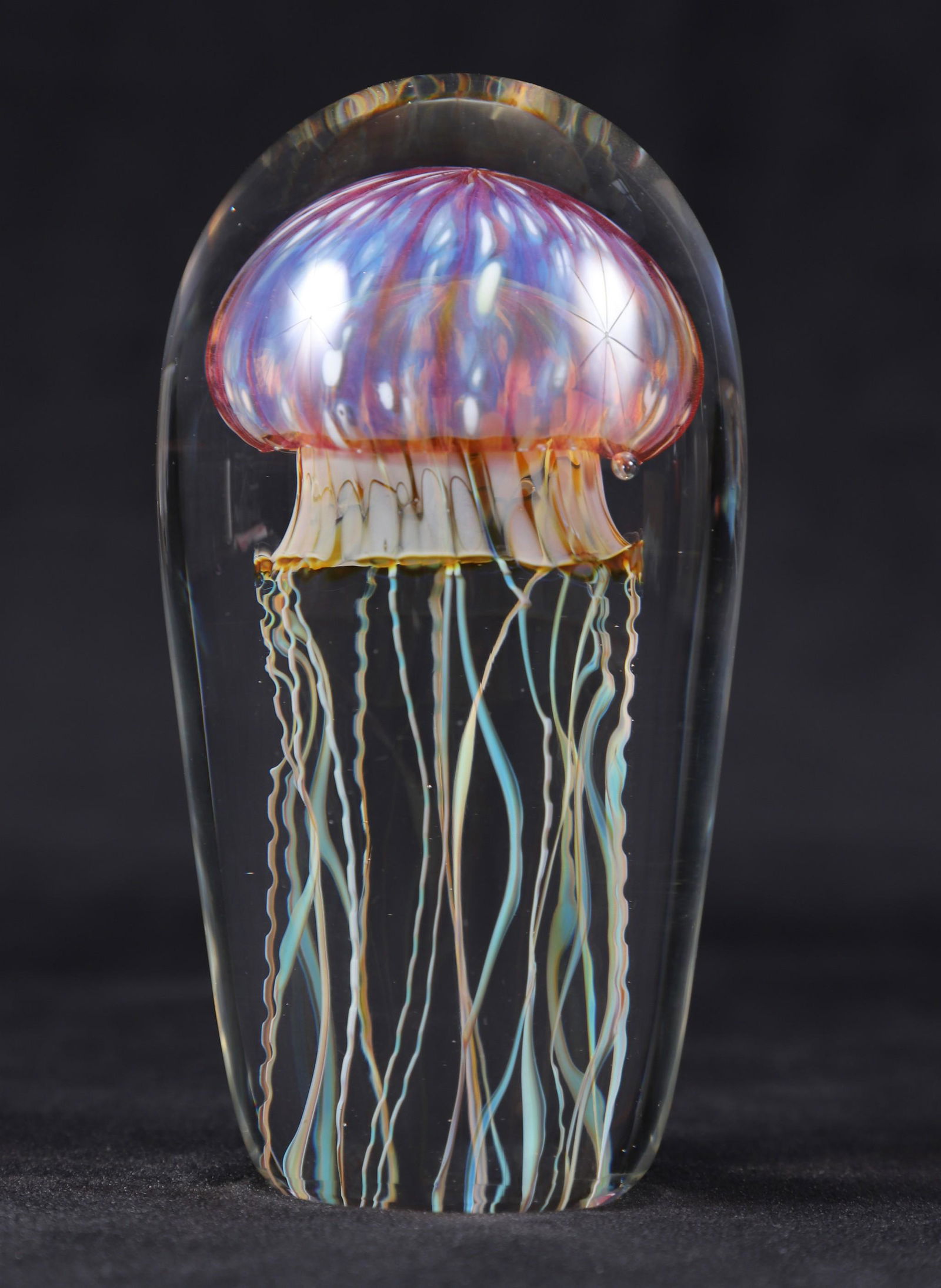 Richard Satava Moon Jellyfish Glass Paperweight (1 of 4)