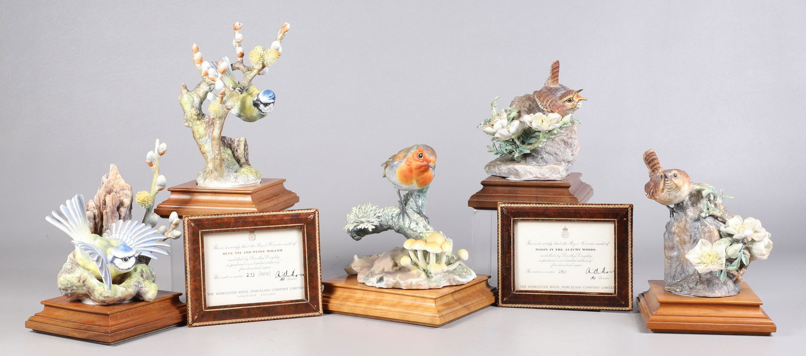 (5) Royal Worcester Porcelain Bird Figurines (1 of 11)