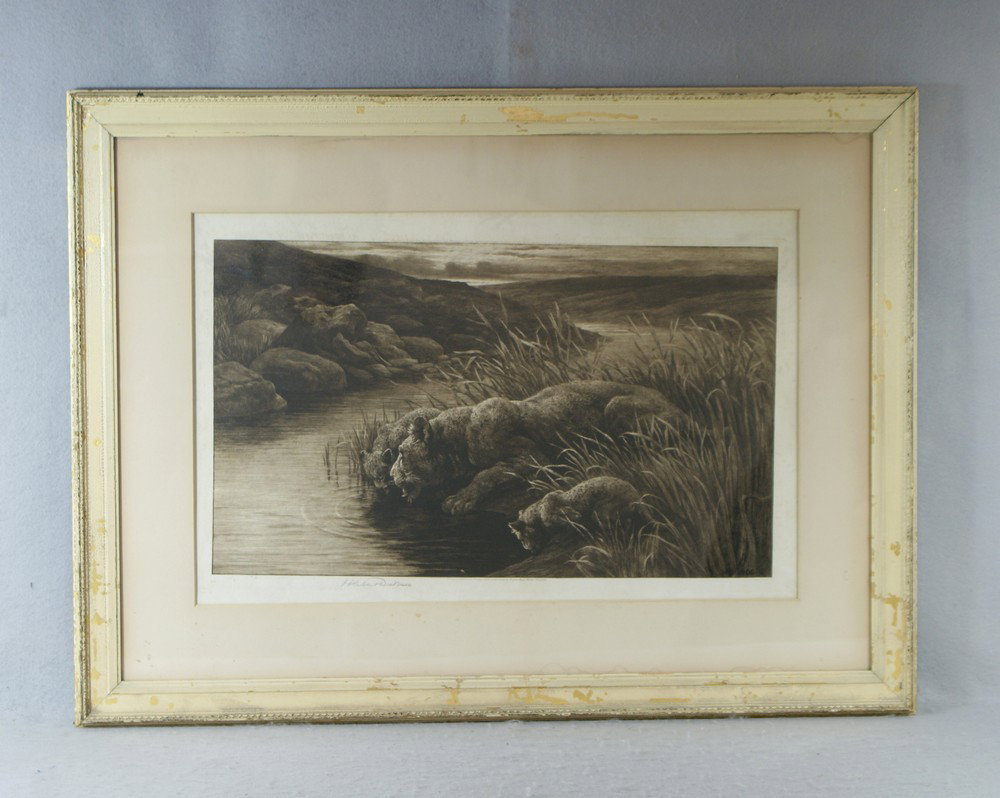 Herbert Thomas Dicksee, 1862-1942, British, sepia: Herbert Thomas Dicksee, 1862-1942, British, sepia engraving, Lioness and Cubs Drinking, publ 1906 by Frost & Reed, image size 12 3/4" x 21 1/2"