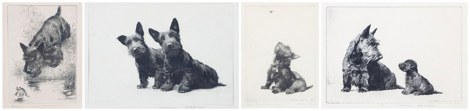 (4) Morgan Dennis Etchings of Scottish Terriers (1 of 9)