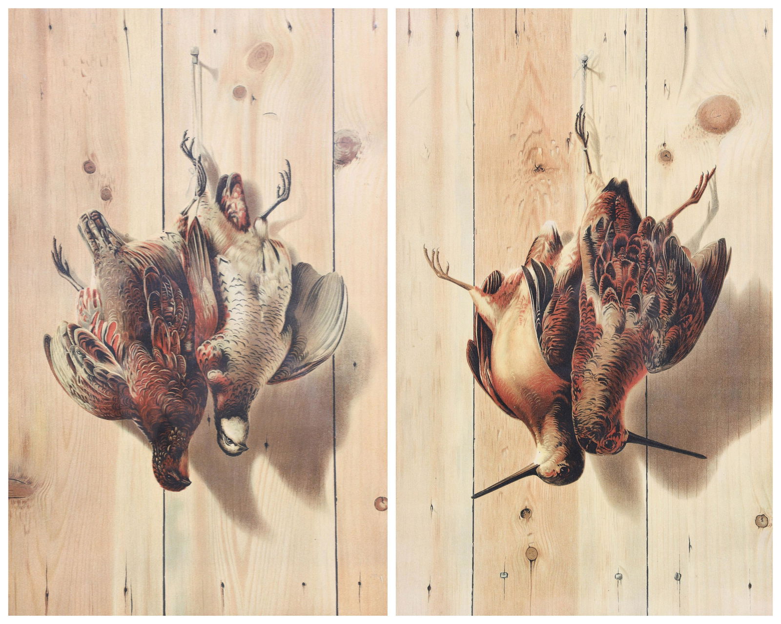 (2) After George Cope Game Prints: (2) After George Cope game prints, chromolithograph on paper, signed "G. Cope" in the image, mounted in original oak frames, framed size 27-1/4" x 19-1/2", very good condition