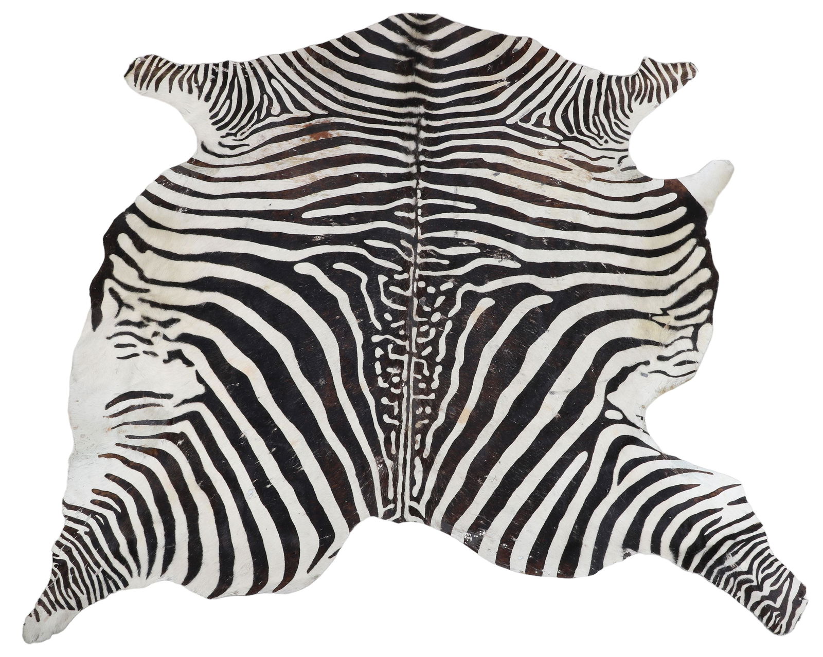 A Free From Zebra Hair Rug (1 of 4)