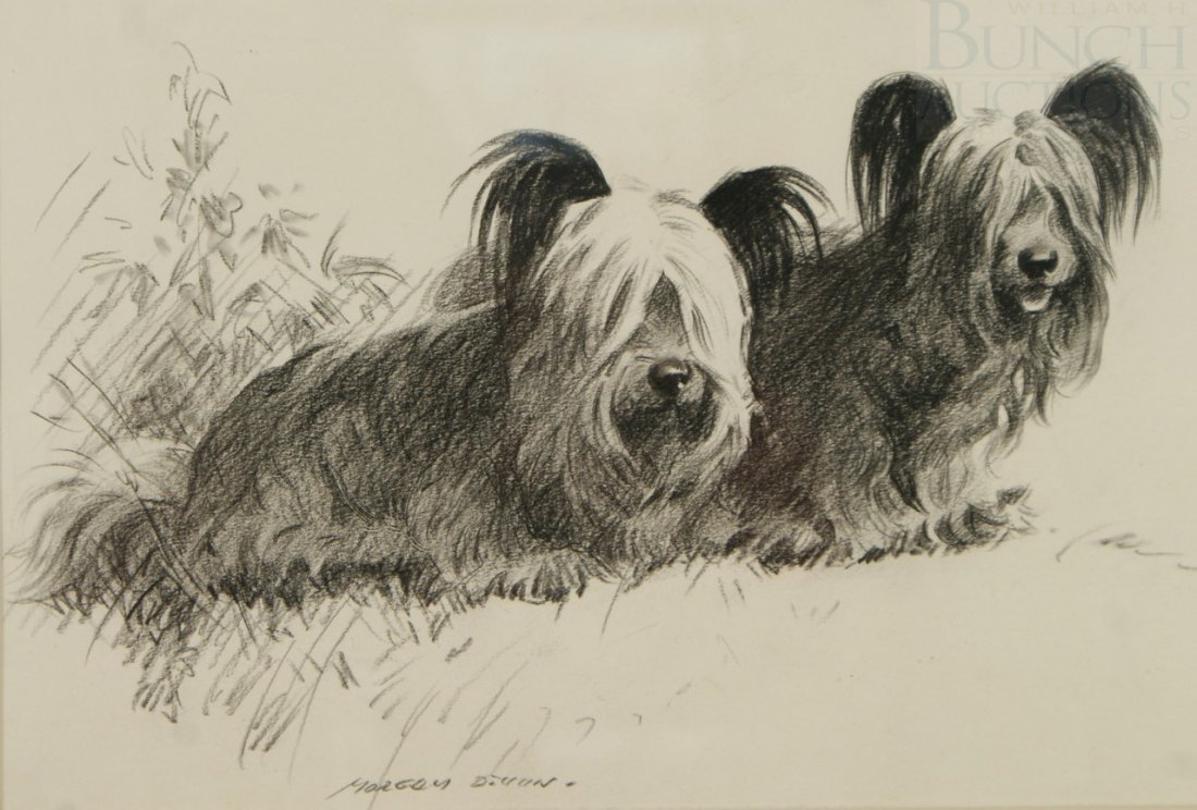 Morgan Dennis, American, 1892-1960, carbon pencil: Morgan Dennis, American, 1892-1960, carbon pencil, 2 Skye Terriers Sitting by a Plant, 8" x 12 1/2", signed lower center