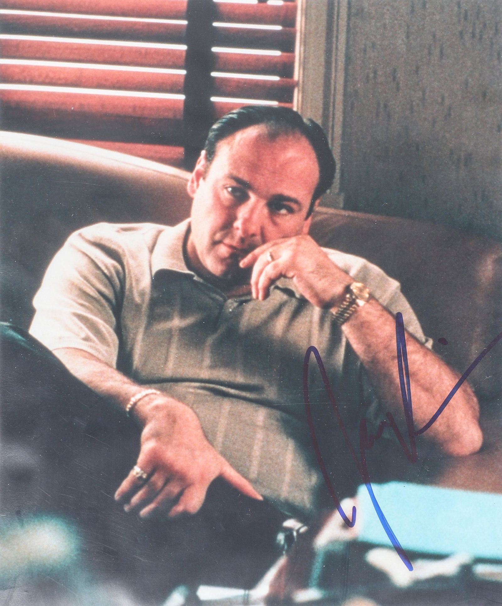 James Gandolfini "Tony Soprano" Signed Photo (1 of 3)