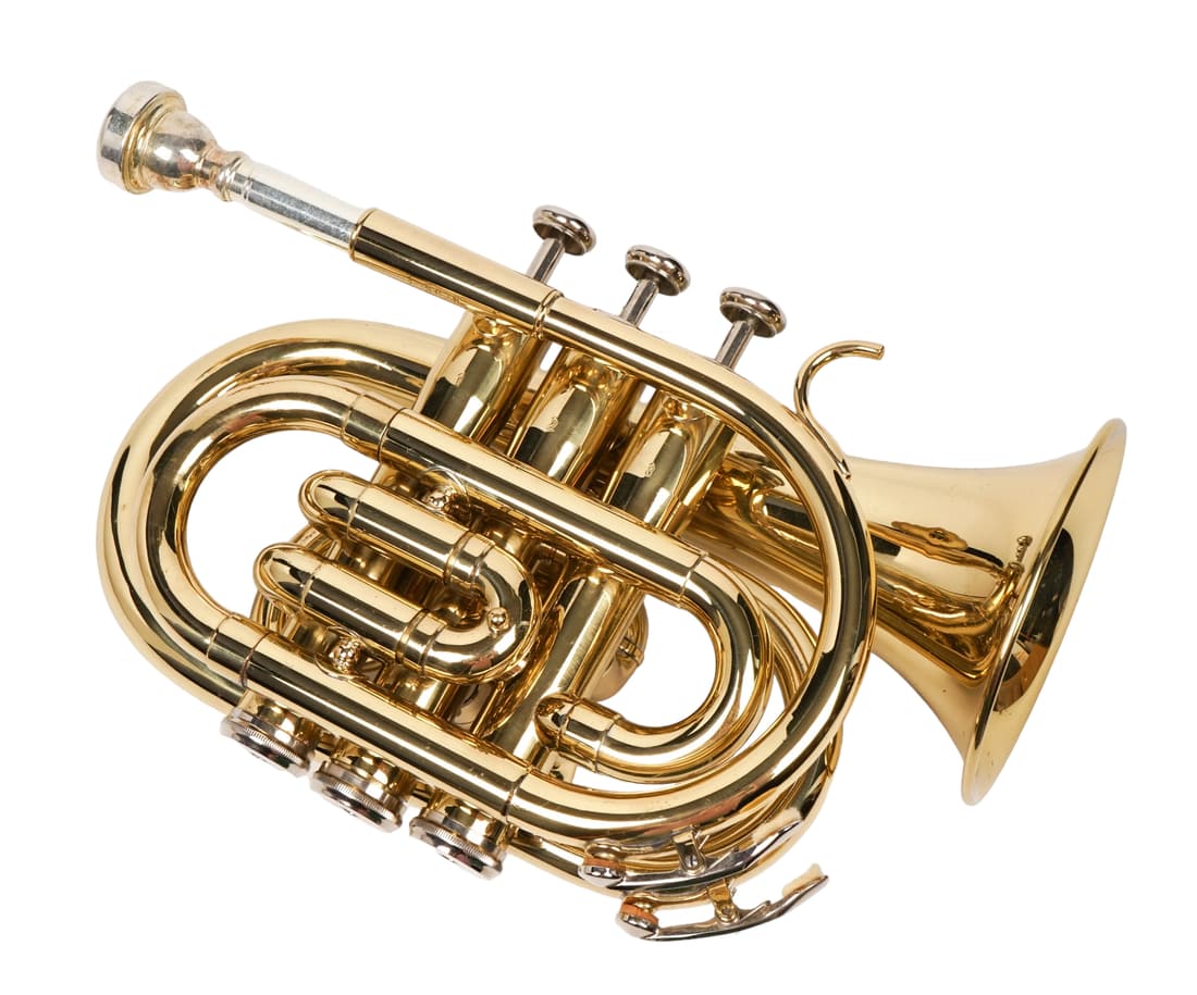 Soul Instruments Pocket Trumpet: Soul Instruments miniature pocket trumpet, with case. Instruments are used as sold AS IS!