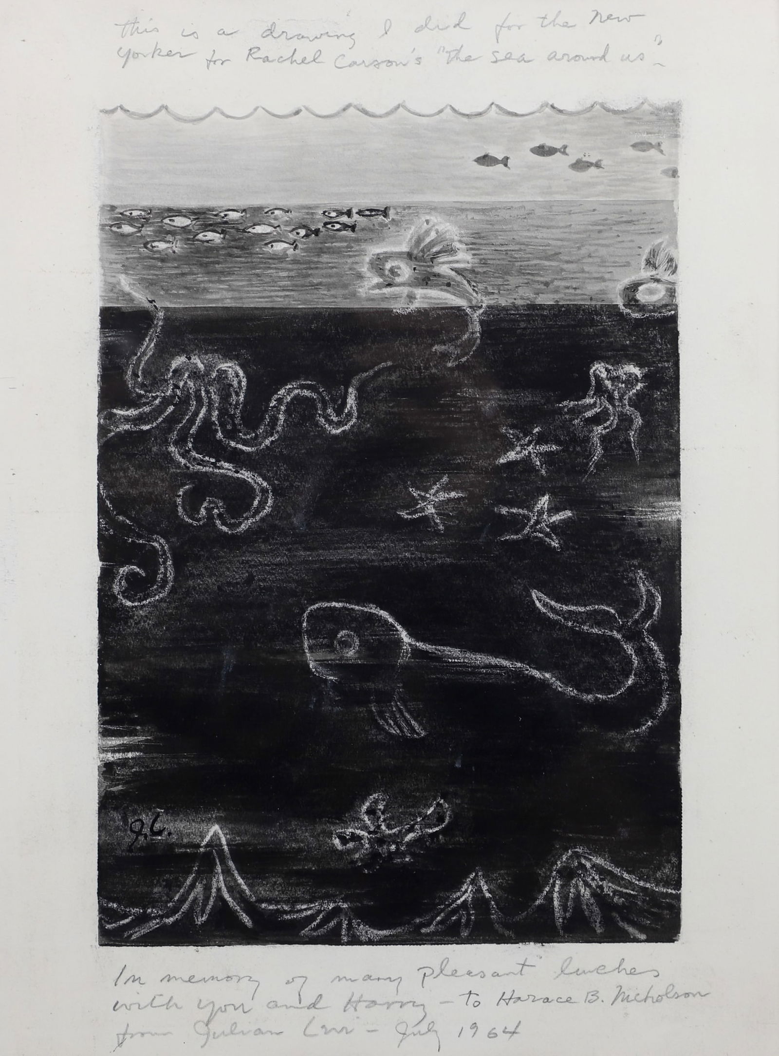 Julian Levi "The Sea Around Us" (1 of 5)