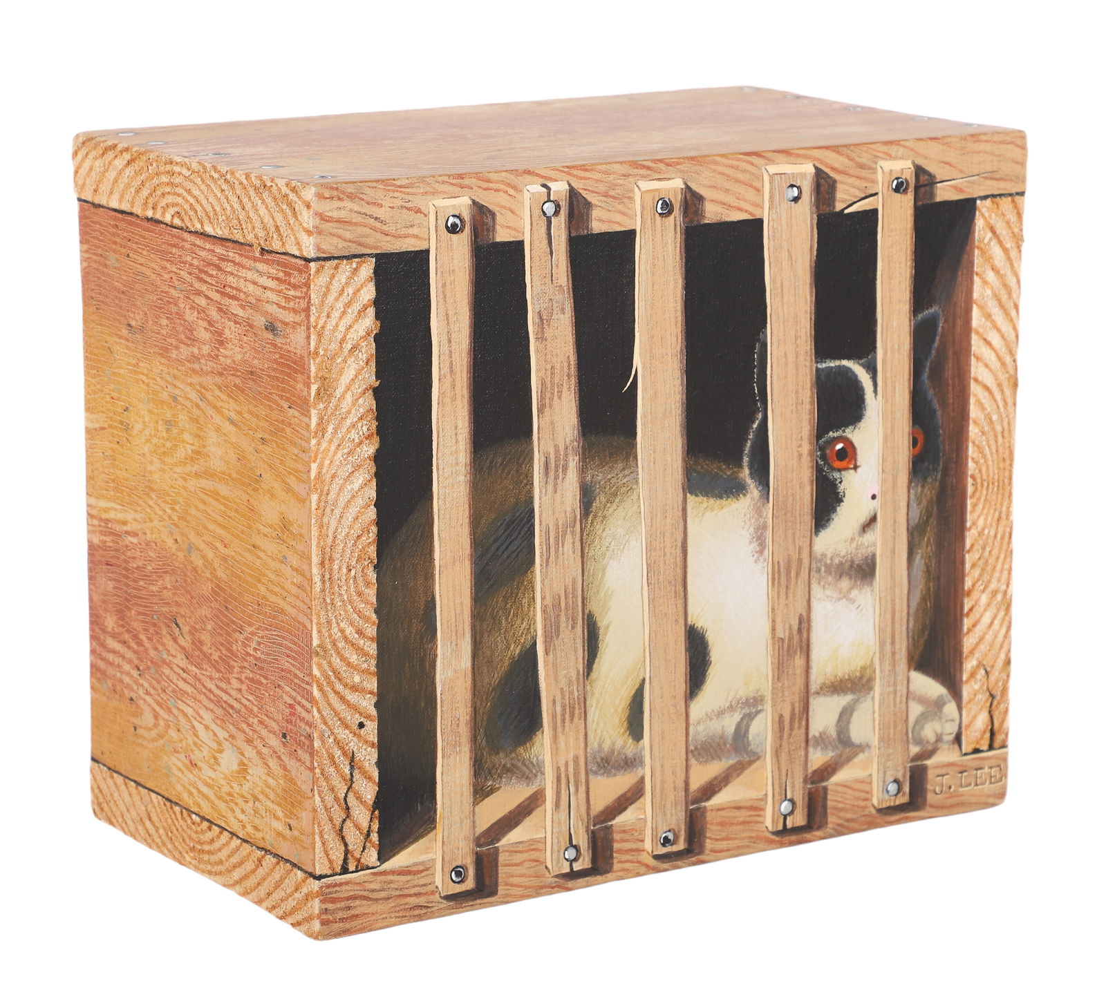 Cat in Crate Kiki la Doucette by Jim Lee (1 of 2)