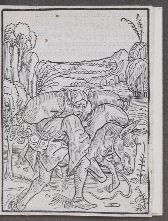 15th C Illustration Woodcut "Ship of Fools": 15th C Illustration "Ship of Fools", original woodcut created for Sebastian Brandt's "Ship of Fools", published 1498 by Johann Bergmann, artist not identified, although Albrecht Durer created woodcuts