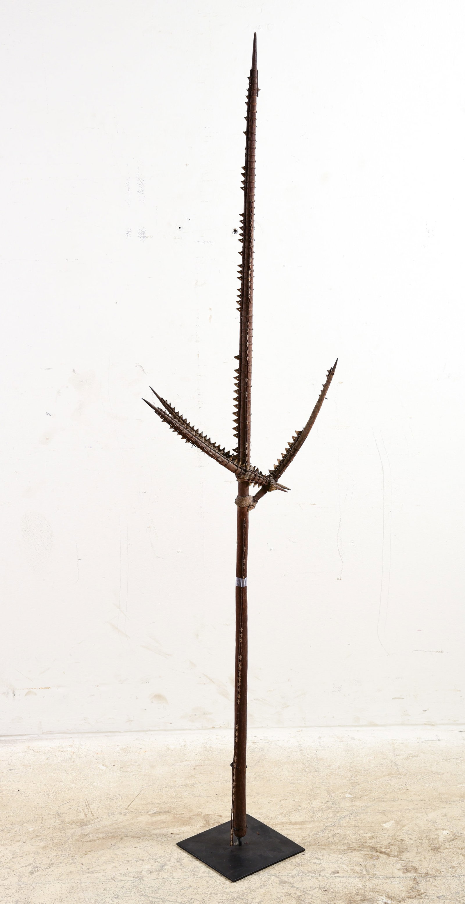 Shark Tooth and Skin Spear with Stand: Shark tooth and skin spear with stand, 65"H wooden spear in shark tooth and shark skin surround, Gilbert Islands, in fitted stand, with drying, some losses, pieces included for repair.