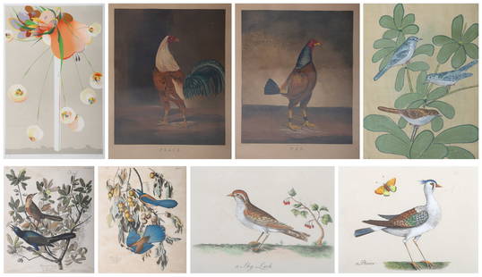 (8) Framed Prints: (8) Framed prints: "Peace and War", aquatints by Charles Turner after Benjamin Marshall; "Still Life Fantasy", lithograph by Burt Groedel, (2) lithographs after Audubon 1937; watercolor of (3) birds;