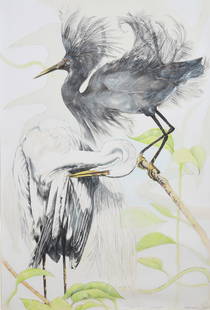 Ellen Lanyon Lithograph "Black Egret": Ellen Lanyon (American, 1926-2013) lithograph "Black Egret", lithograph on paper, signed "Ellen Lanyon 1984', trial proof, 44-1/2" x 30" sheet, framed 56-1/4" x 41", very good condition