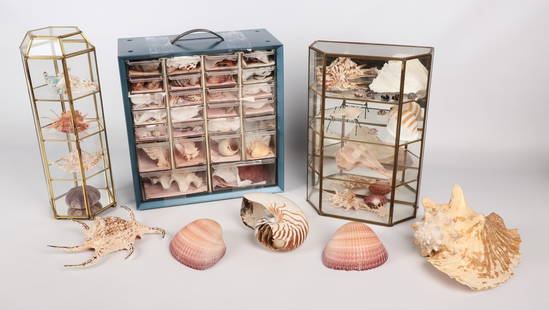 Large Lot of Seashells: Large lot of various seashells, largest 9" x 7" x 5-1/2", with (2) brass & glass display cases and storage box, along with (3) glass chickens