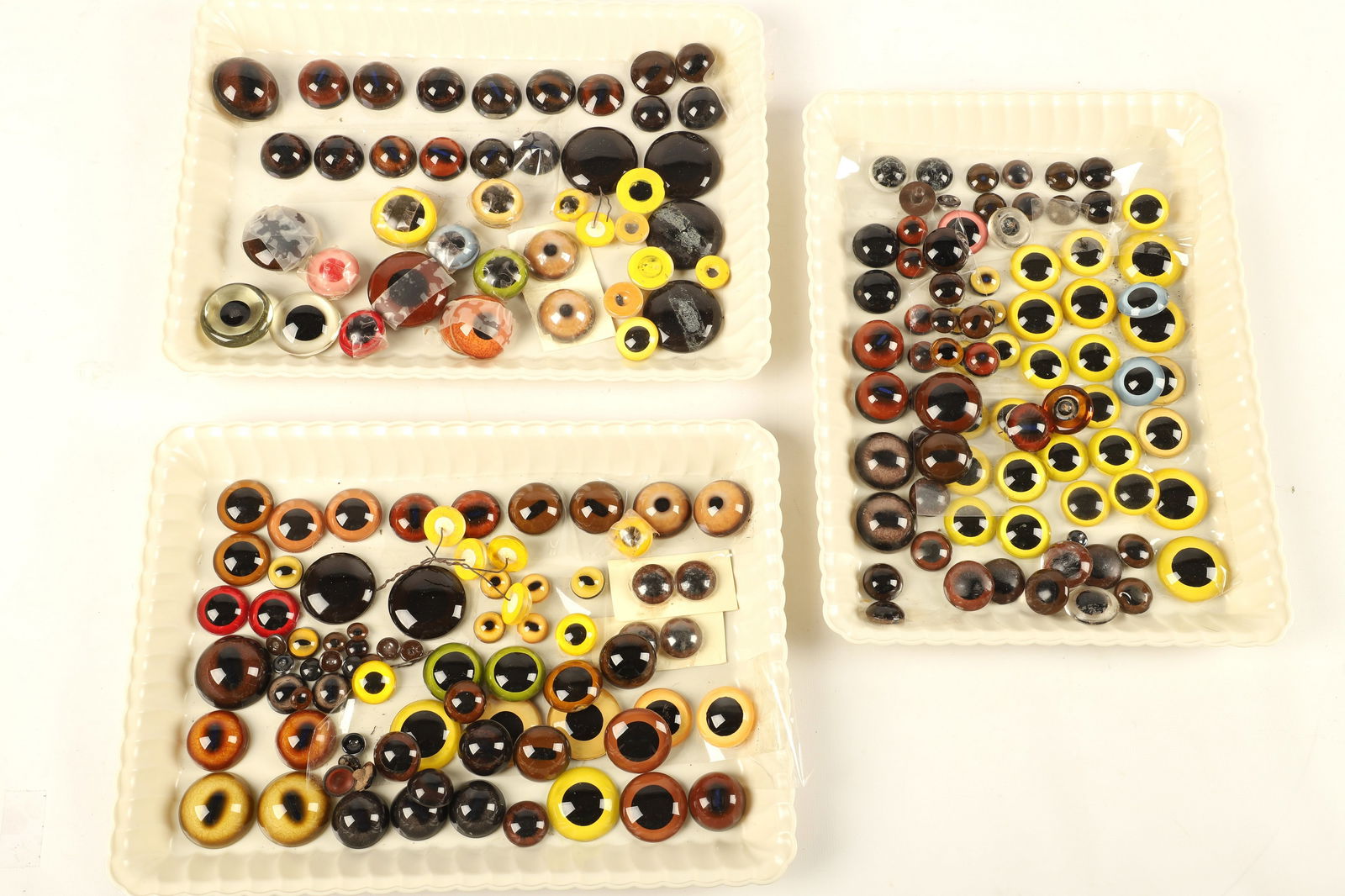 A Collection of Glass Animal Eyes: A collection of glass animal eyes, 3/8" dia through 1-1/2" dia, most as pairs