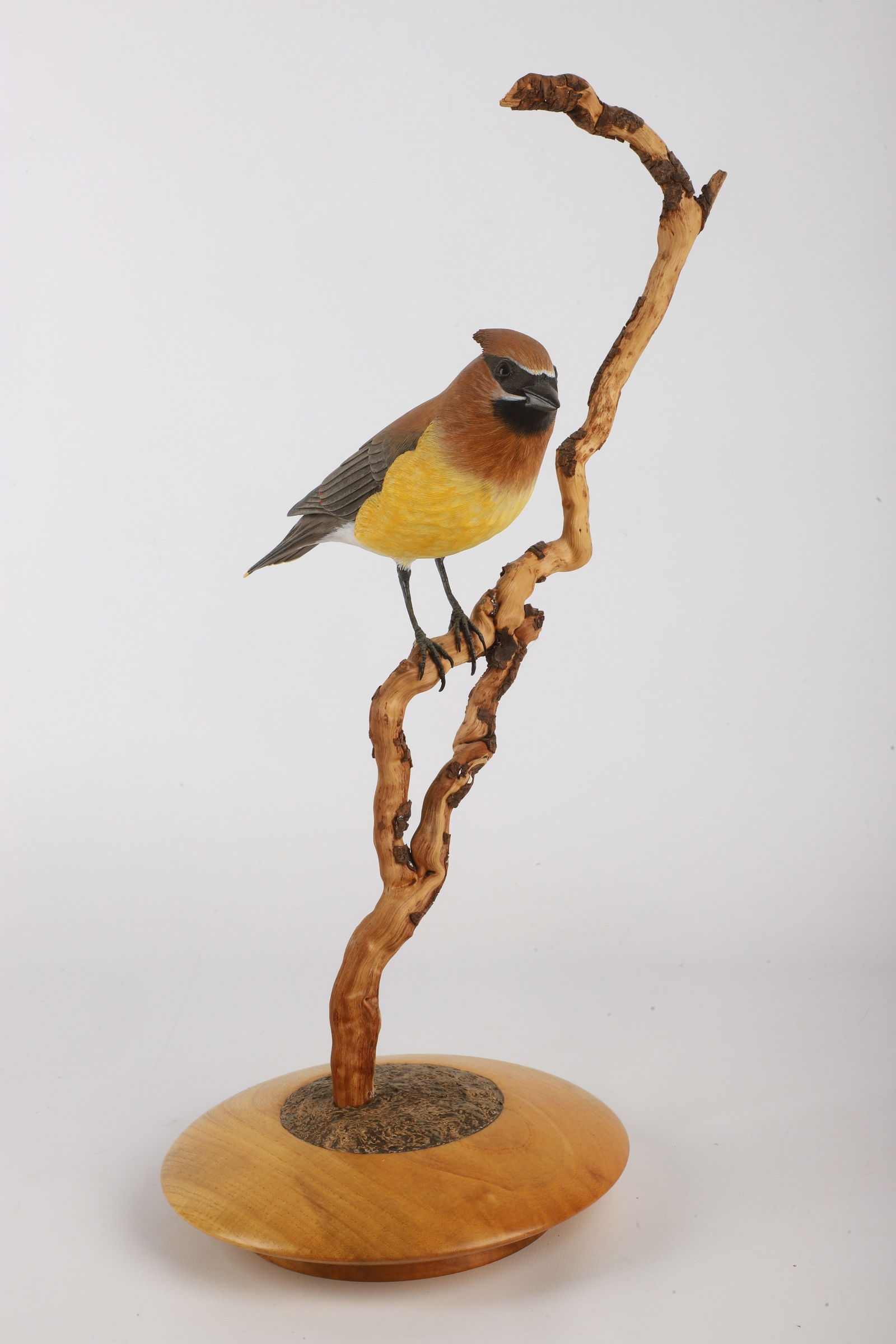 Tom Ahern carved wood Cedar Waxwing (1 of 5)