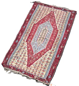 4'6" x 8' Persian Senna