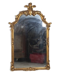 Raschella Collections Italian style gilt hanging wall mirror