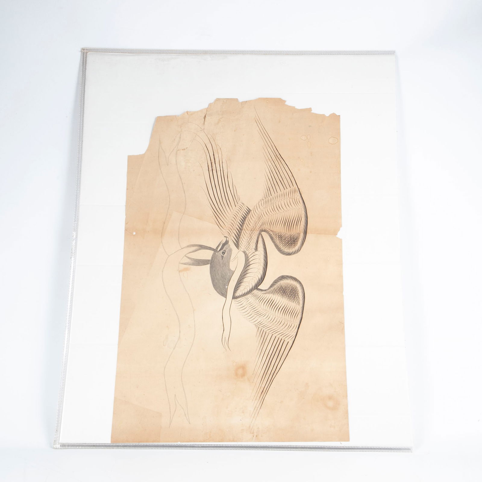 19th C American Calligraphic Eagle (1 of 4)