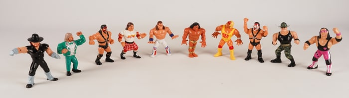 WWF Hasbro Figures - Wrestling