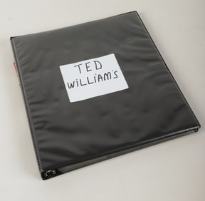 Ted Williams Card Lot