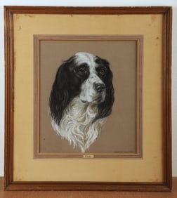 1939 Portrait of a Springer Spaniel Dog