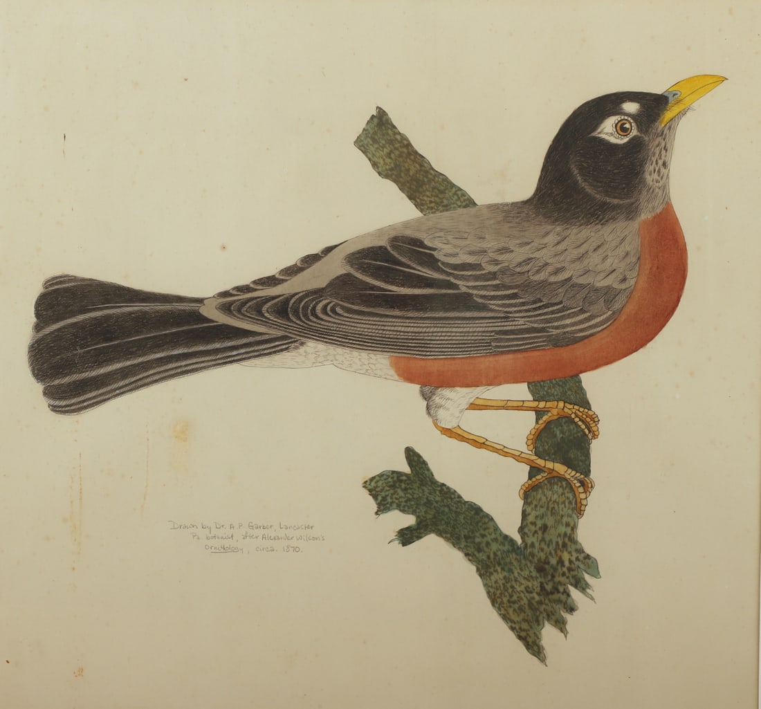 (2) Ornithological Paintings of Birds (1 of 7)