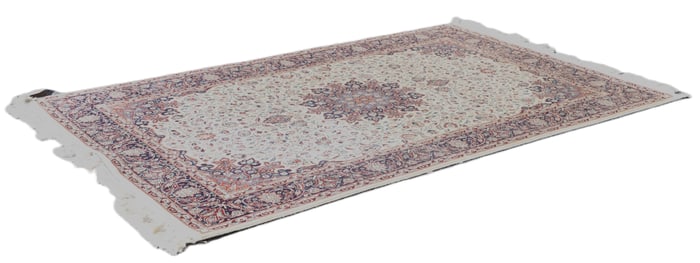 5'x7' Modern Persian Rug