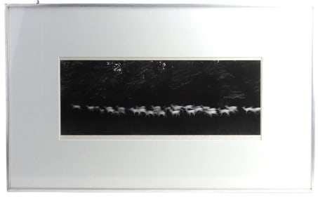 Paul Caponigro "Running White Deer"