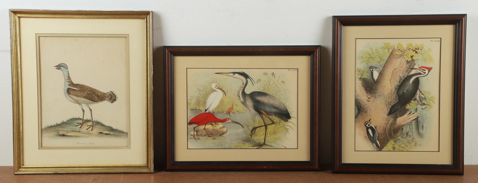 (3) Jacob Studer Ornithological Prints (1 of 7)