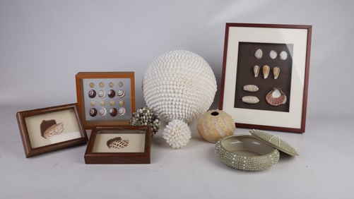 Seashell Themed Framed Artworks and Pottery