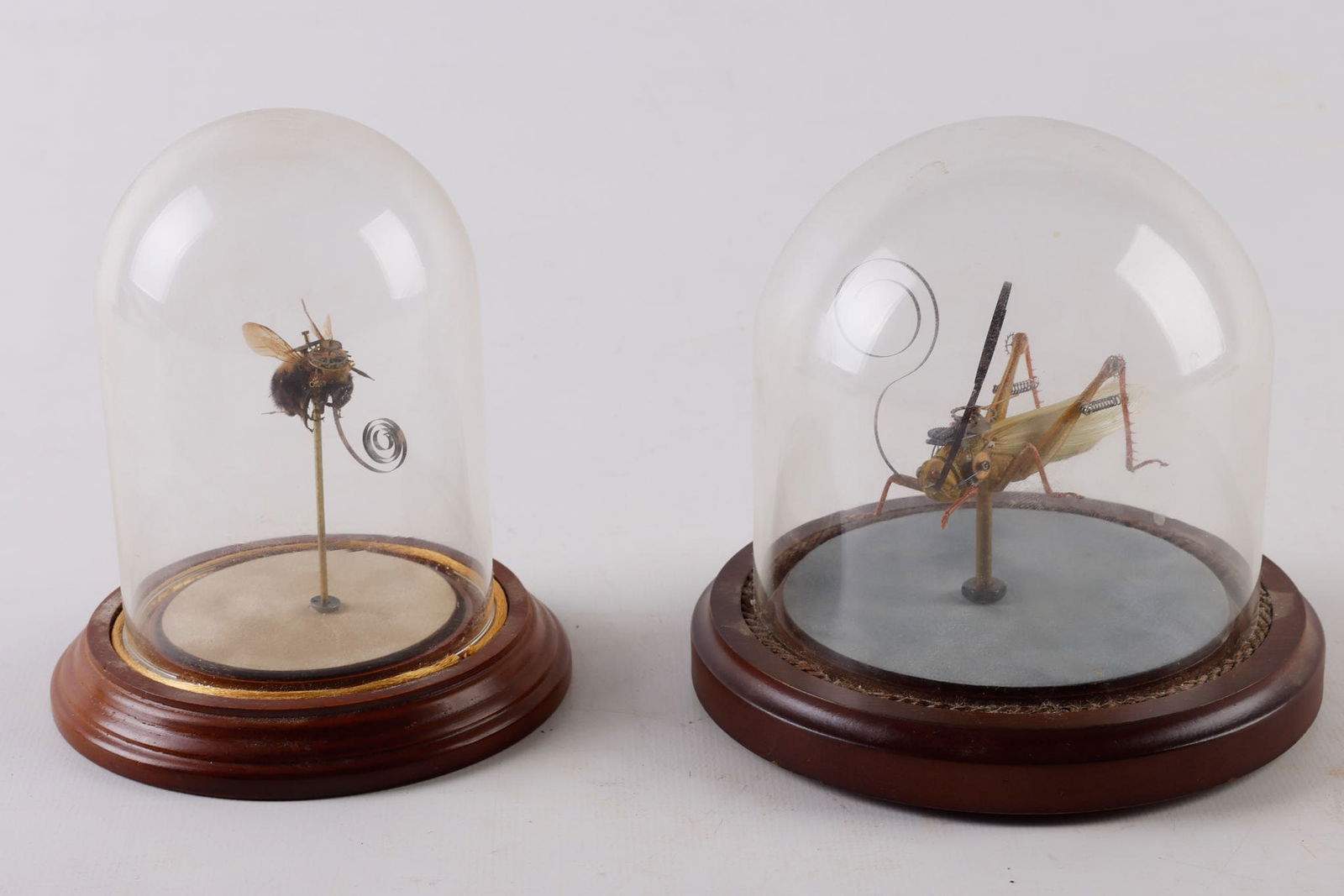 (2) Mike Libby Insect Lab Sculptures under Cloche (1 of 7)