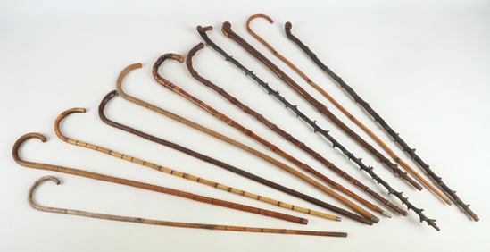 (11) Bamboo and Thornwood Canes