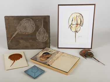 Horseshoe Crab Art and Decor