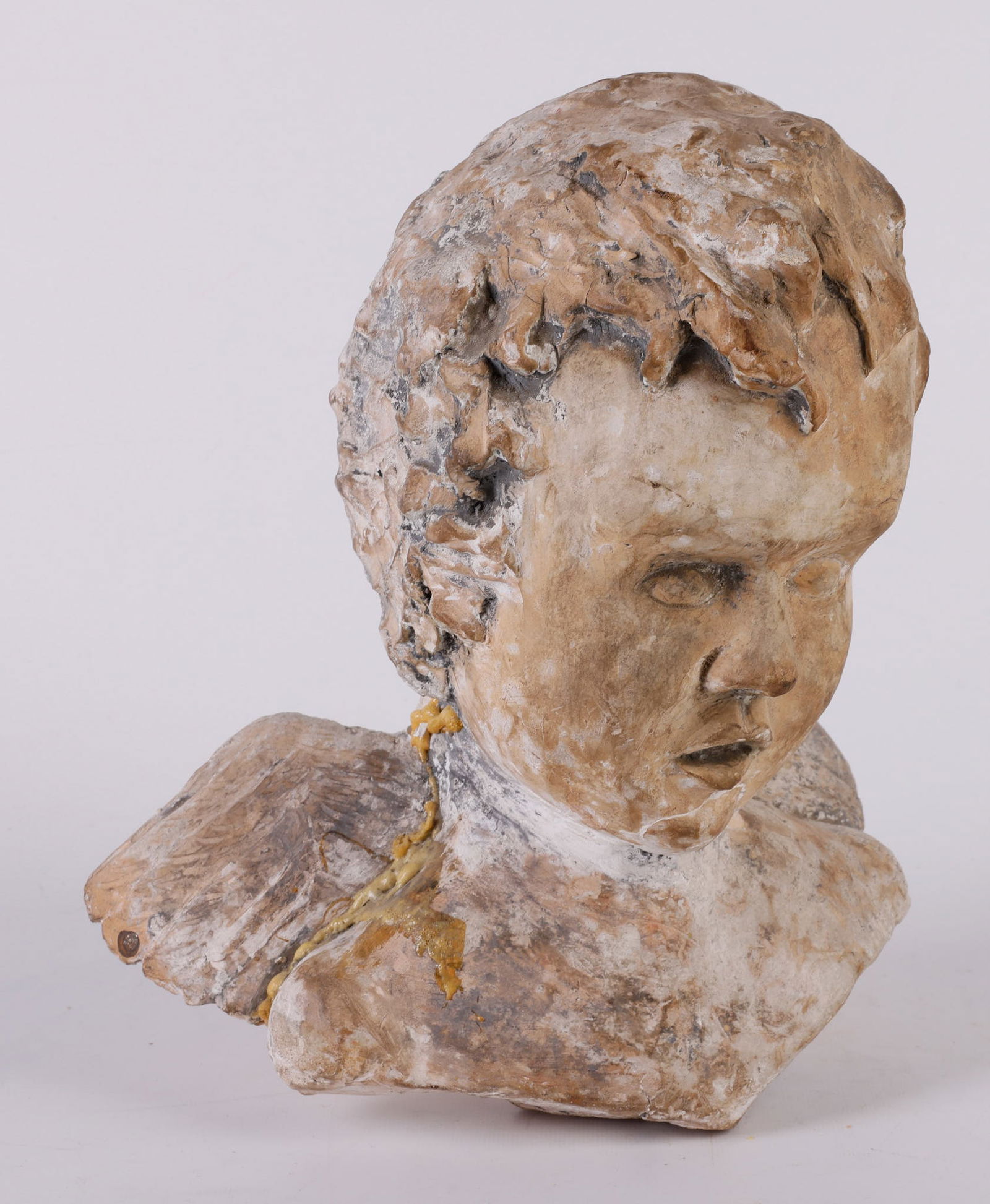 A Plaster Bust of a Cherub: A Plaster Bust of a Cherub, 11 3/4"H, repairs and evident damage.